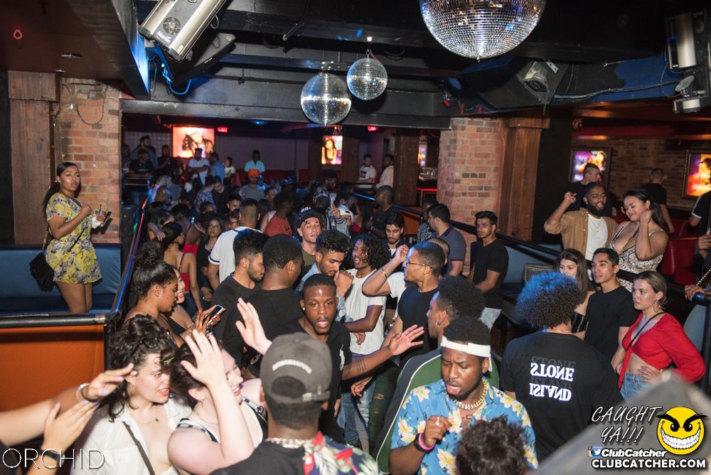 Orchid nightclub photo 1 - July 6th, 2019