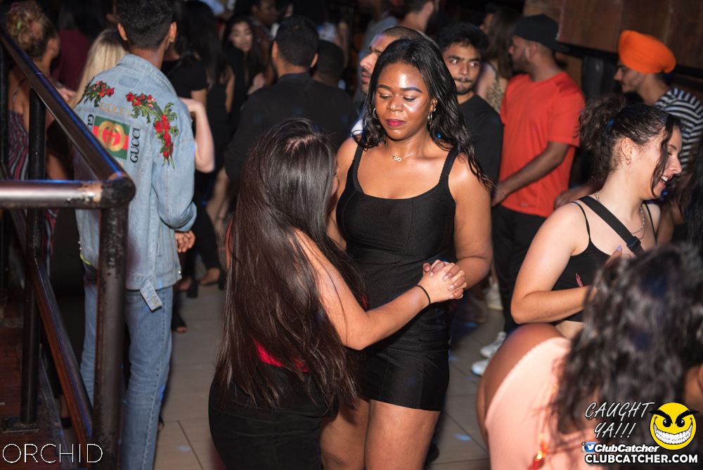 Orchid nightclub photo 101 - July 6th, 2019