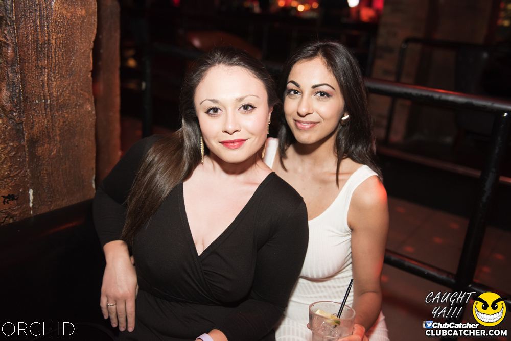 Orchid nightclub photo 104 - July 6th, 2019