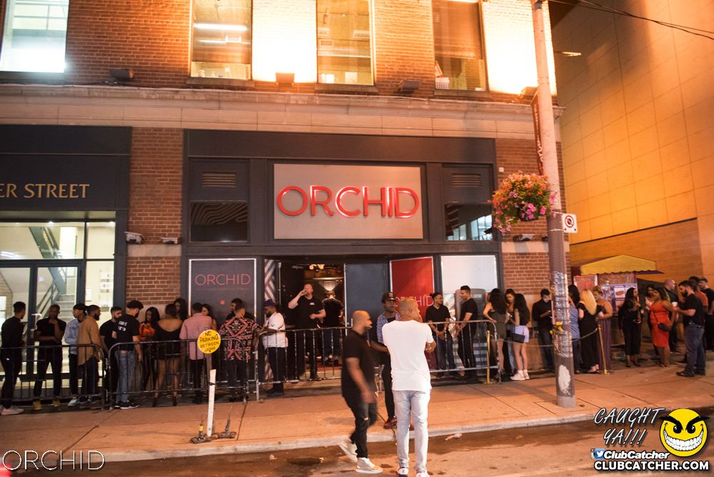 Orchid nightclub photo 106 - July 6th, 2019