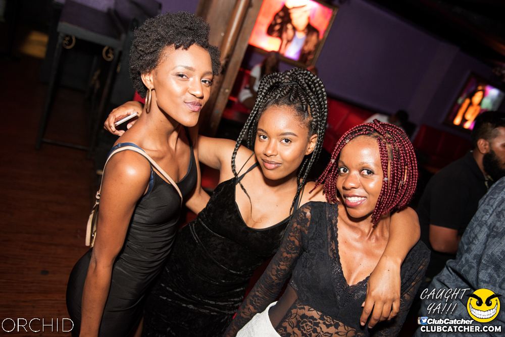 Orchid nightclub photo 114 - July 6th, 2019