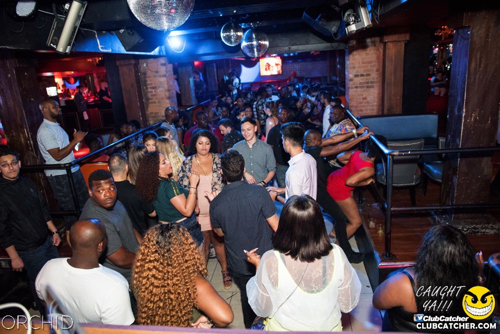 Orchid nightclub photo 116 - July 6th, 2019