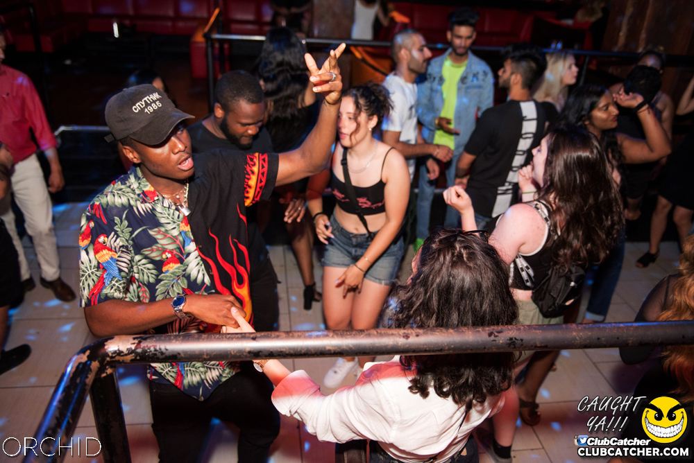 Orchid nightclub photo 121 - July 6th, 2019