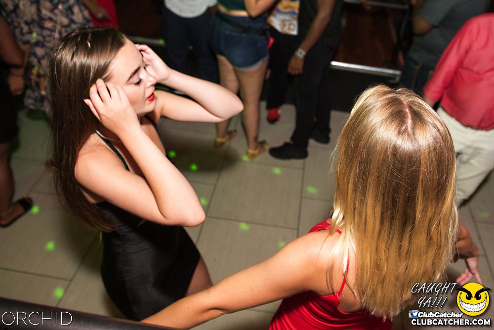Orchid nightclub photo 122 - July 6th, 2019