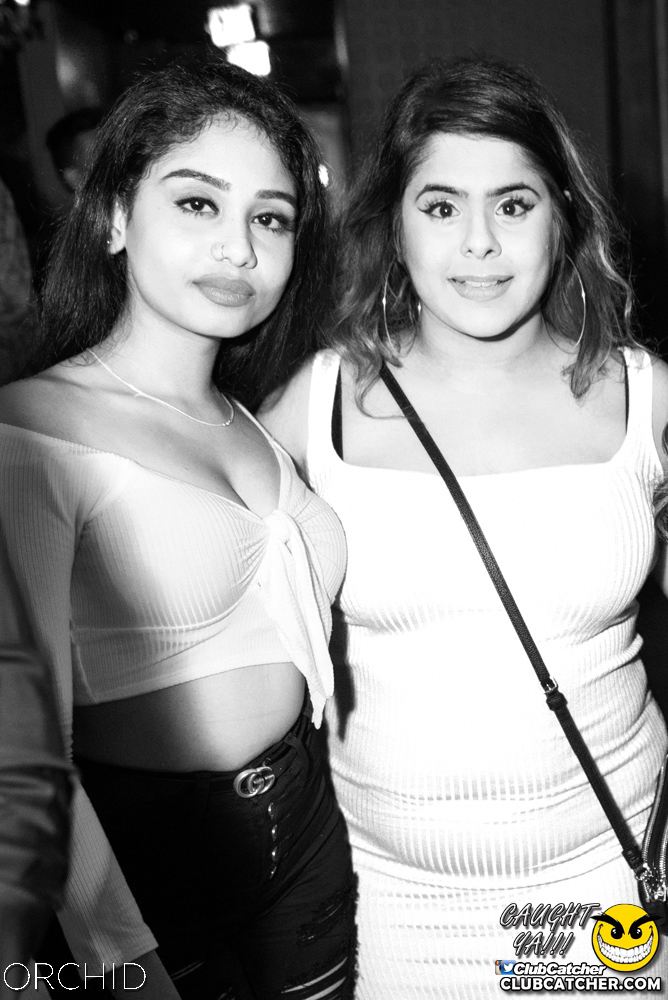 Orchid nightclub photo 127 - July 6th, 2019