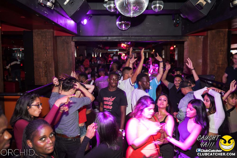 Orchid nightclub photo 130 - July 6th, 2019