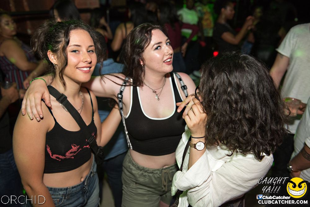 Orchid nightclub photo 131 - July 6th, 2019