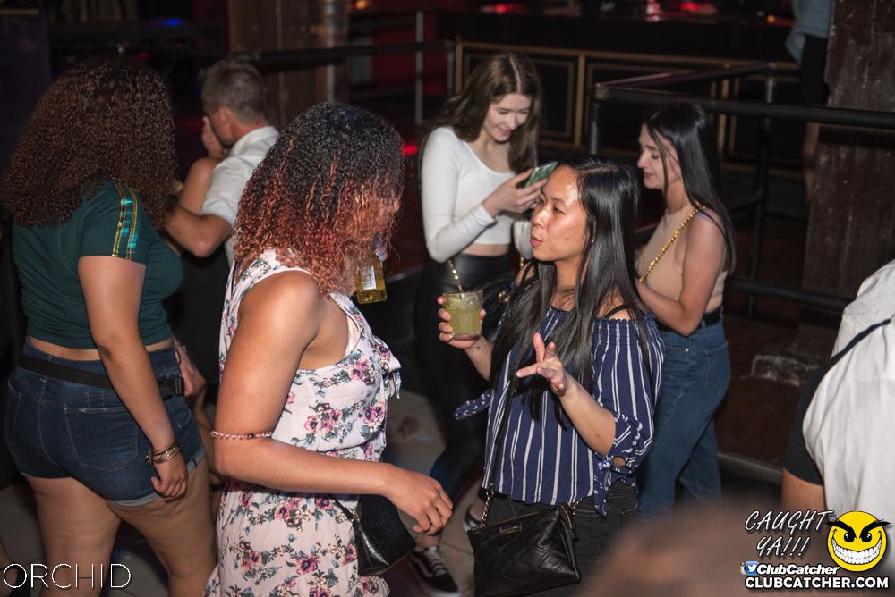 Orchid nightclub photo 137 - July 6th, 2019