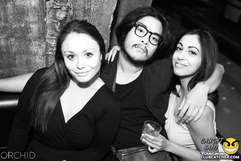 Orchid nightclub photo 140 - July 6th, 2019
