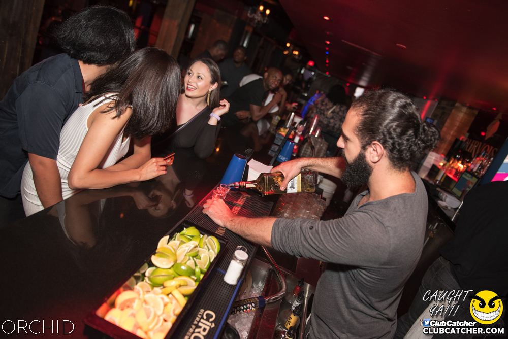 Orchid nightclub photo 141 - July 6th, 2019