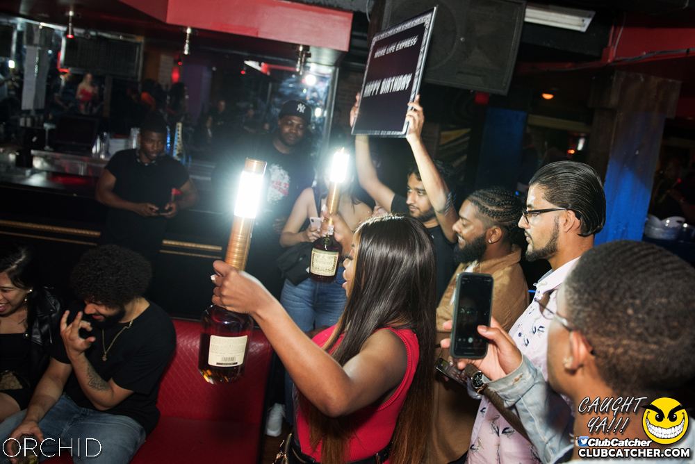 Orchid nightclub photo 142 - July 6th, 2019