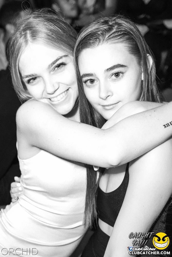 Orchid nightclub photo 144 - July 6th, 2019