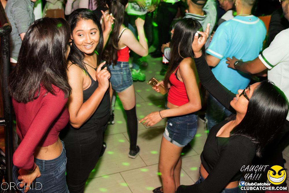 Orchid nightclub photo 146 - July 6th, 2019