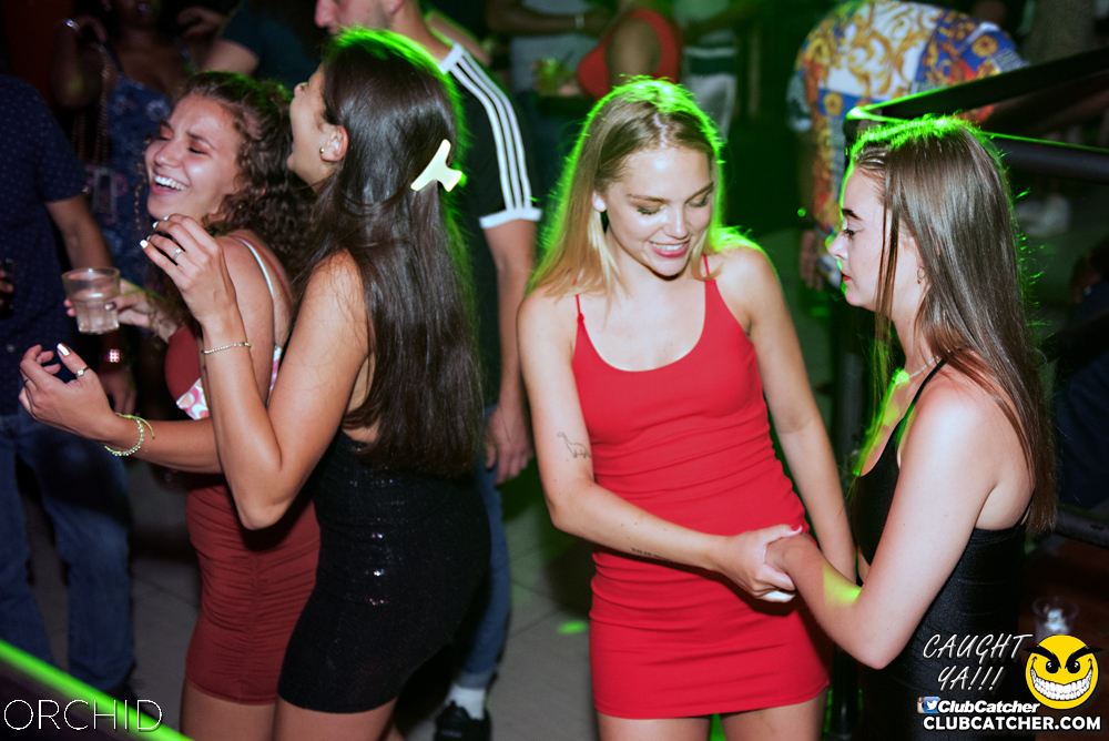 Orchid nightclub photo 149 - July 6th, 2019
