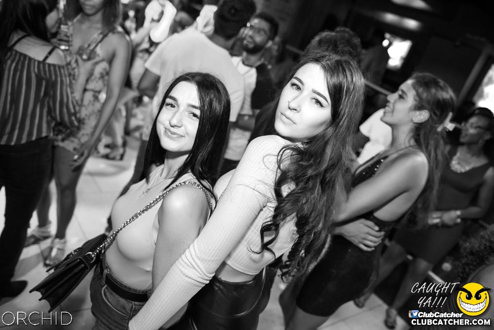 Orchid nightclub photo 19 - July 6th, 2019