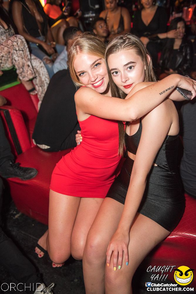 Orchid nightclub photo 3 - July 6th, 2019