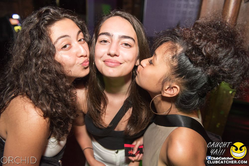 Orchid nightclub photo 24 - July 6th, 2019