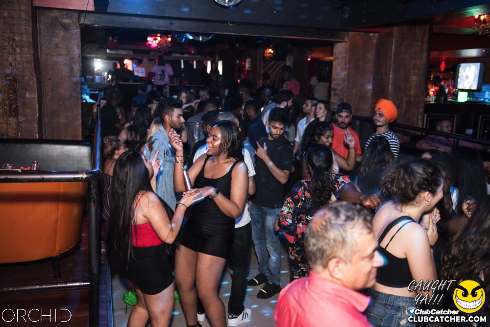 Orchid nightclub photo 28 - July 6th, 2019