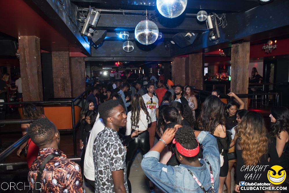 Orchid nightclub photo 45 - July 6th, 2019