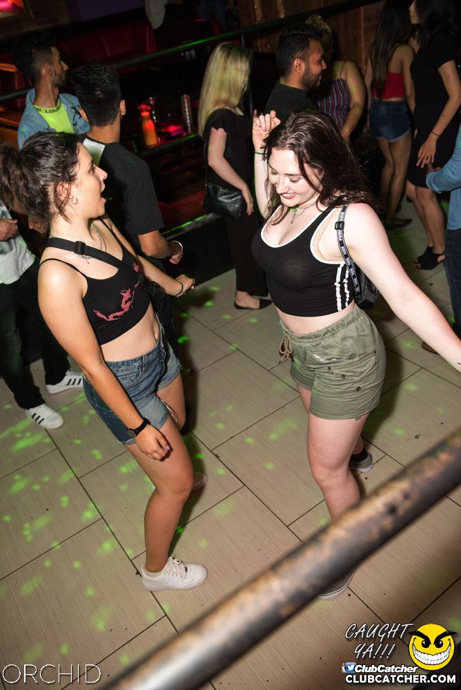 Orchid nightclub photo 47 - July 6th, 2019