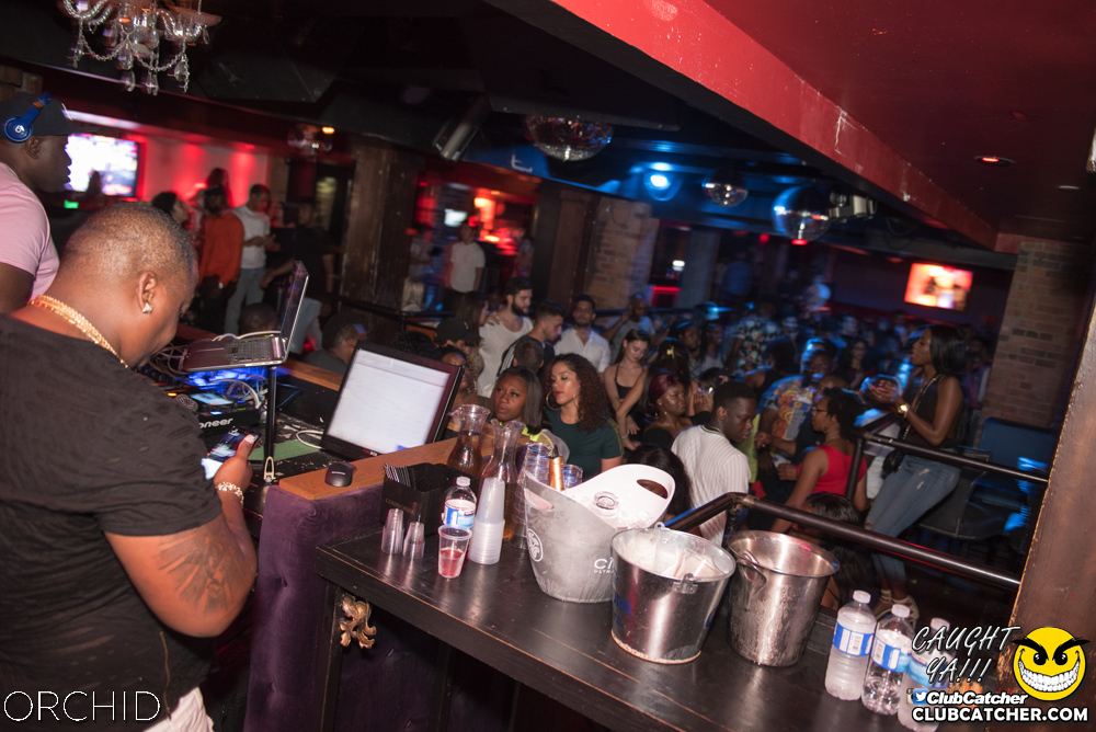 Orchid nightclub photo 58 - July 6th, 2019