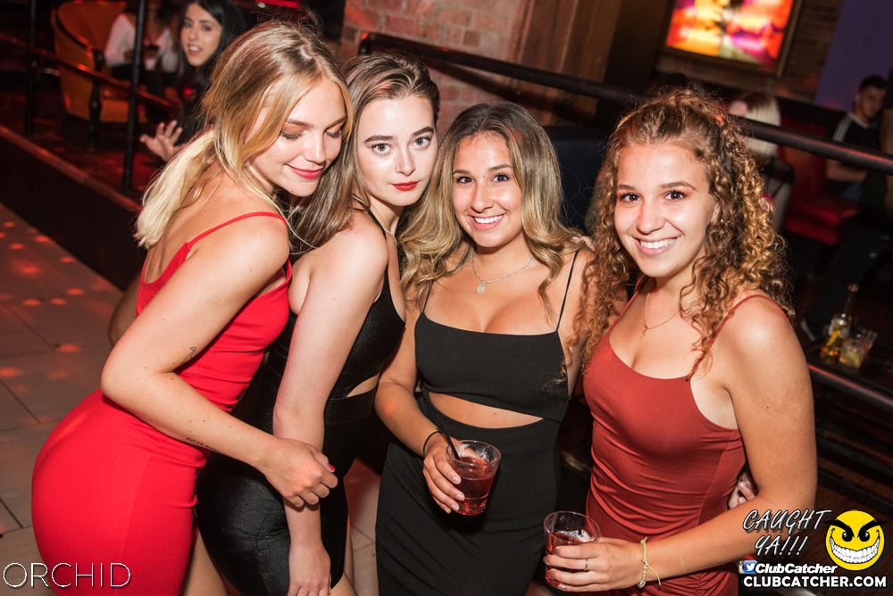 Orchid nightclub photo 61 - July 6th, 2019
