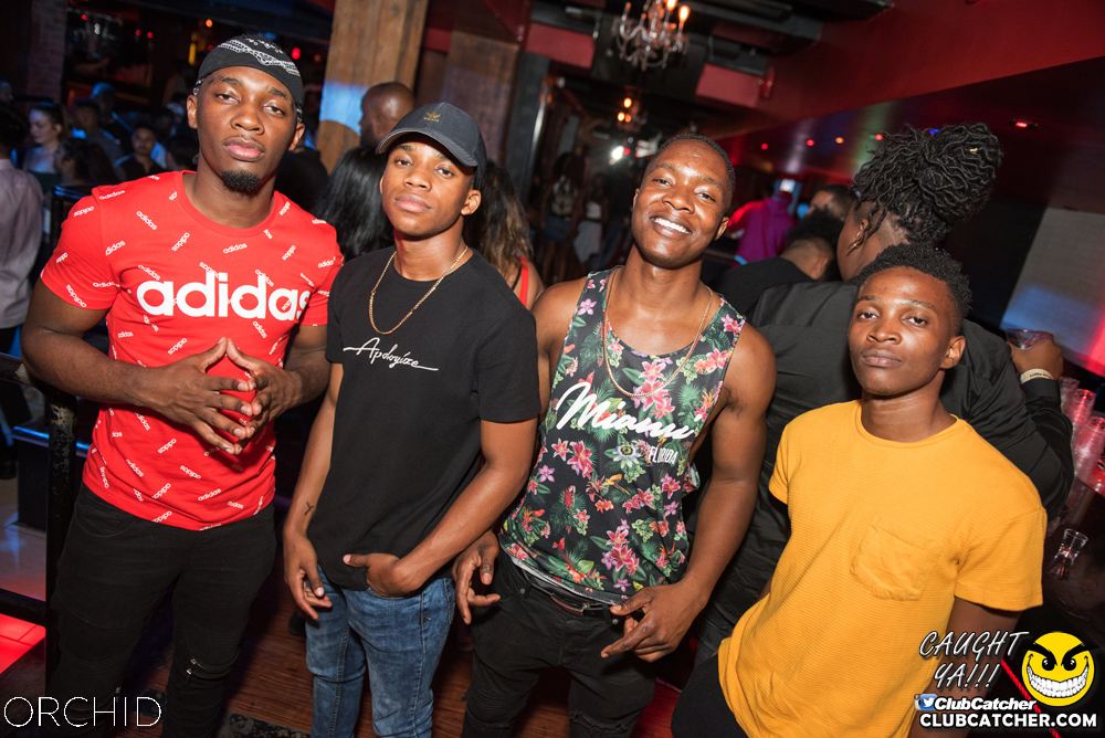 Orchid nightclub photo 62 - July 6th, 2019