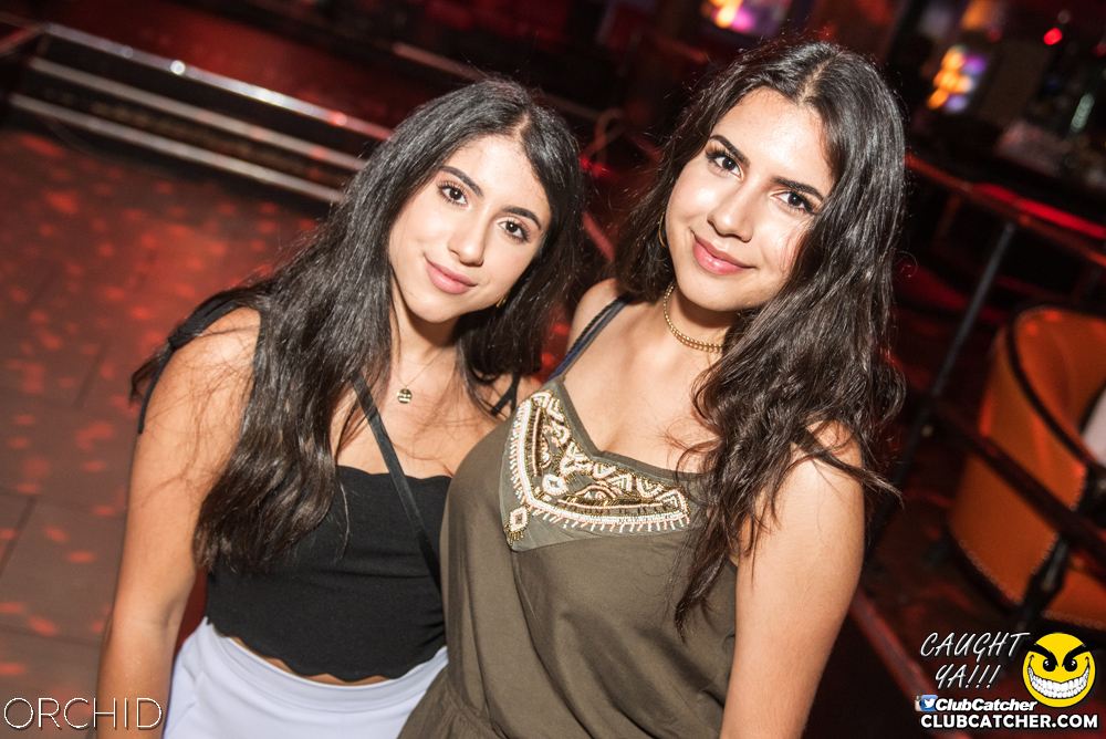 Orchid nightclub photo 64 - July 6th, 2019