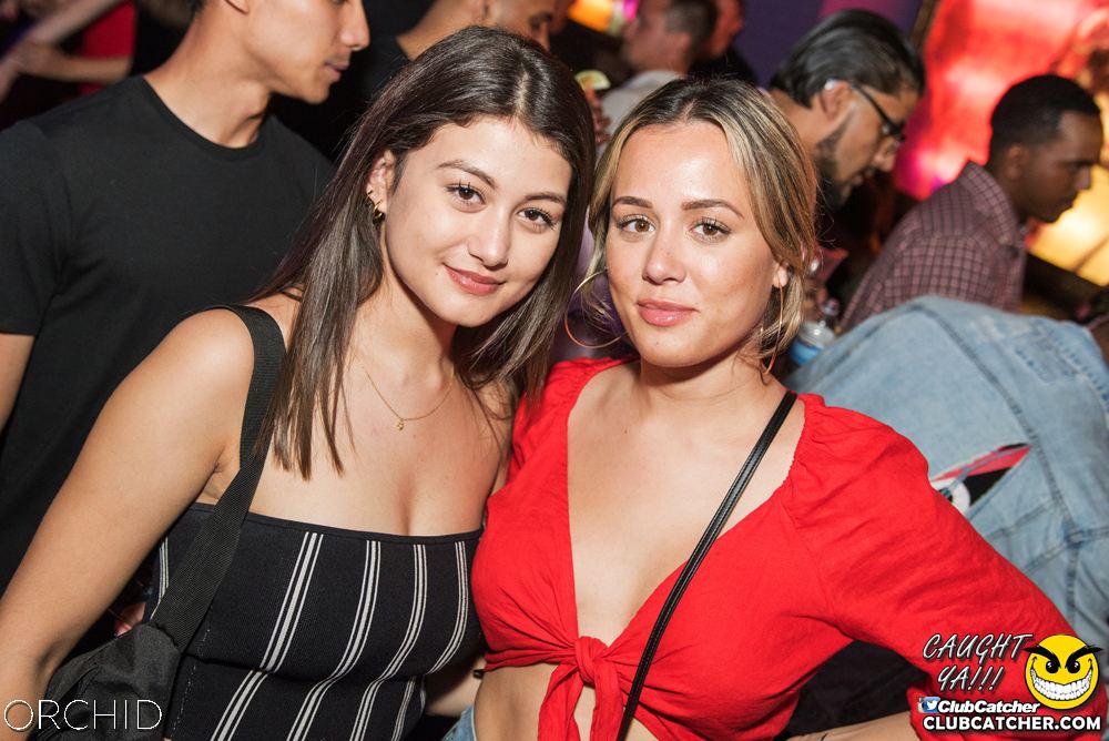 Orchid nightclub photo 66 - July 6th, 2019