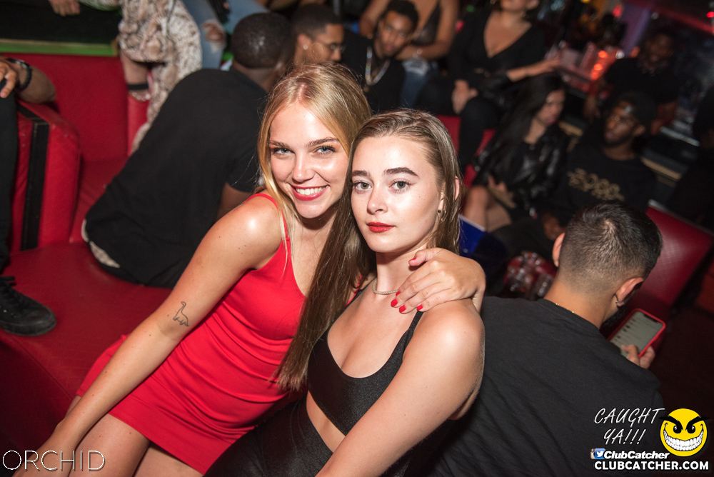 Orchid nightclub photo 68 - July 6th, 2019