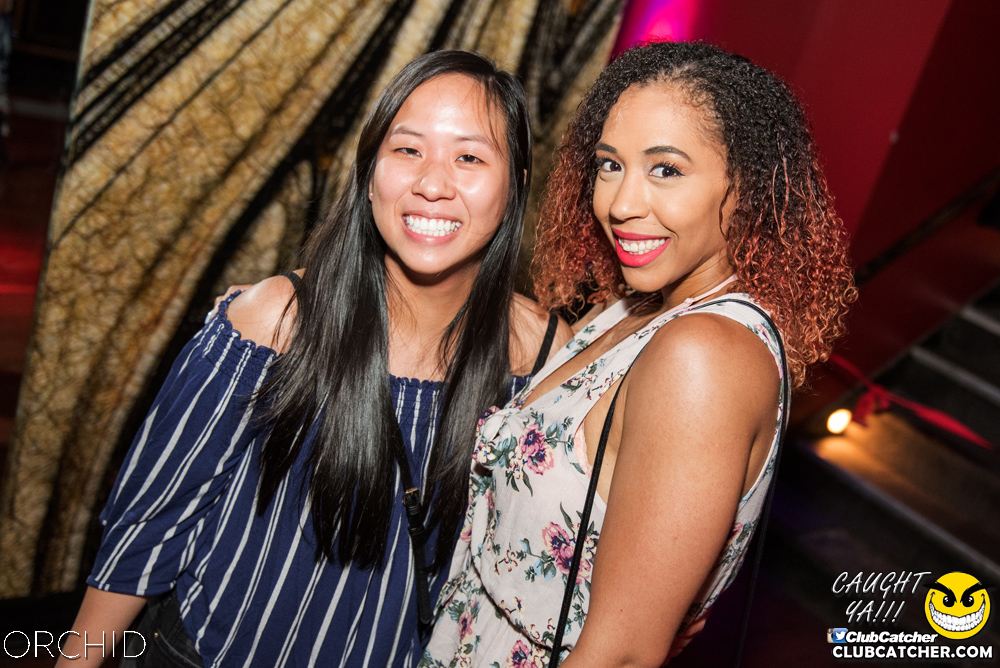 Orchid nightclub photo 69 - July 6th, 2019