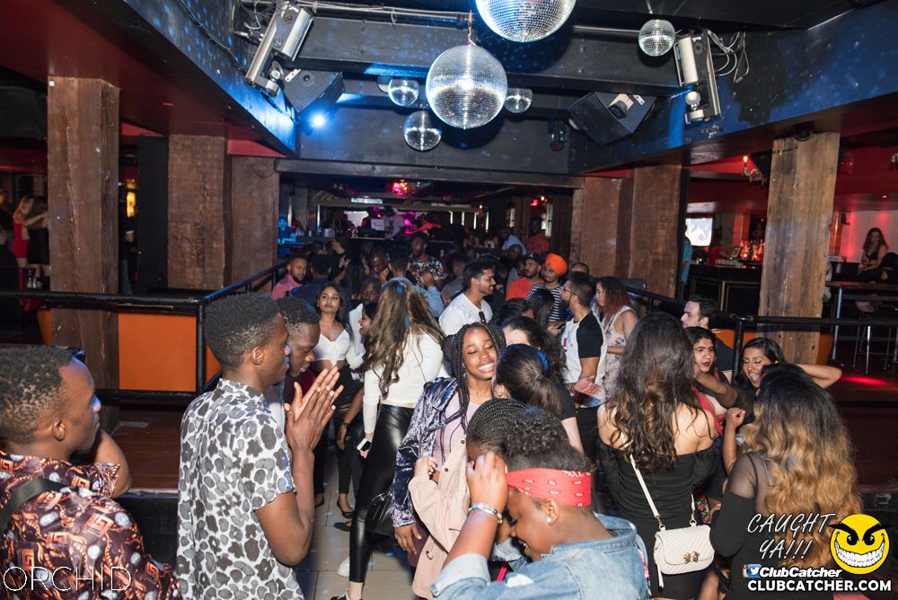 Orchid nightclub photo 70 - July 6th, 2019