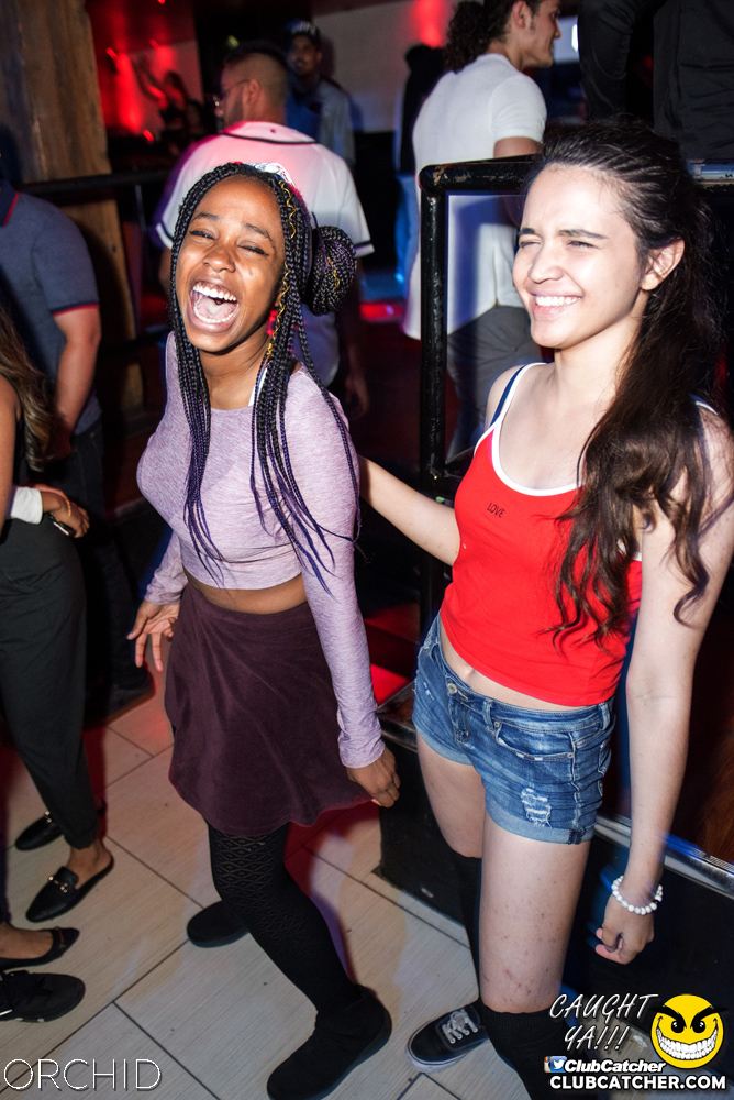 Orchid nightclub photo 73 - July 6th, 2019