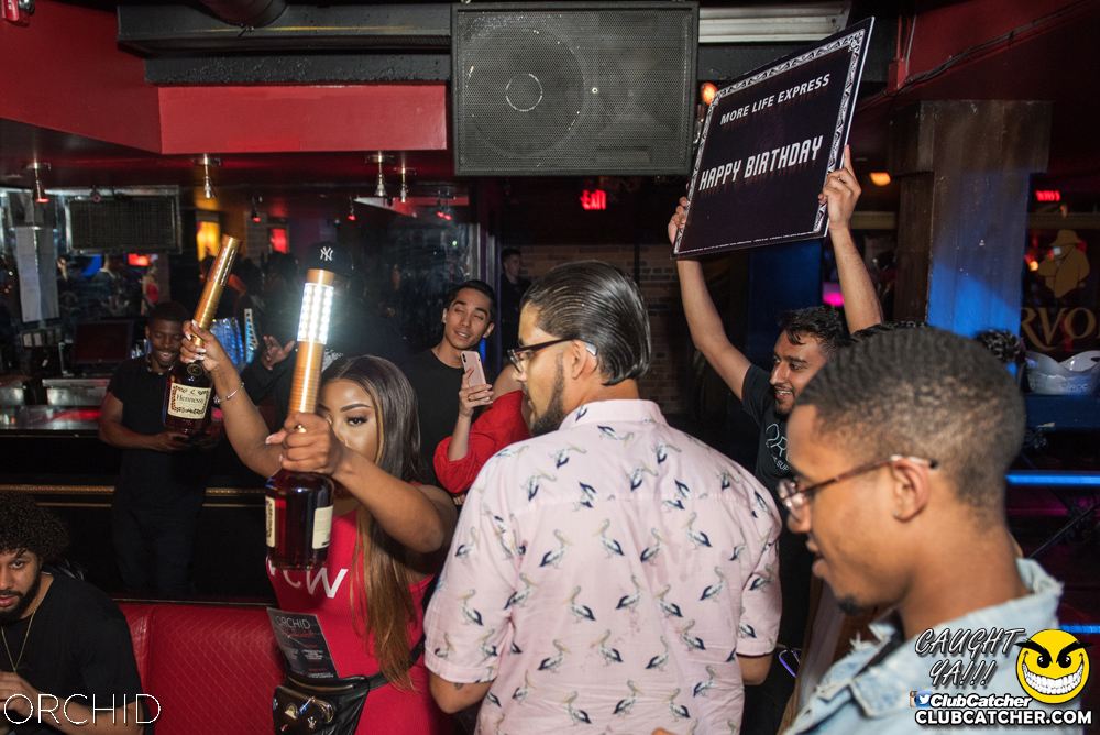 Orchid nightclub photo 75 - July 6th, 2019