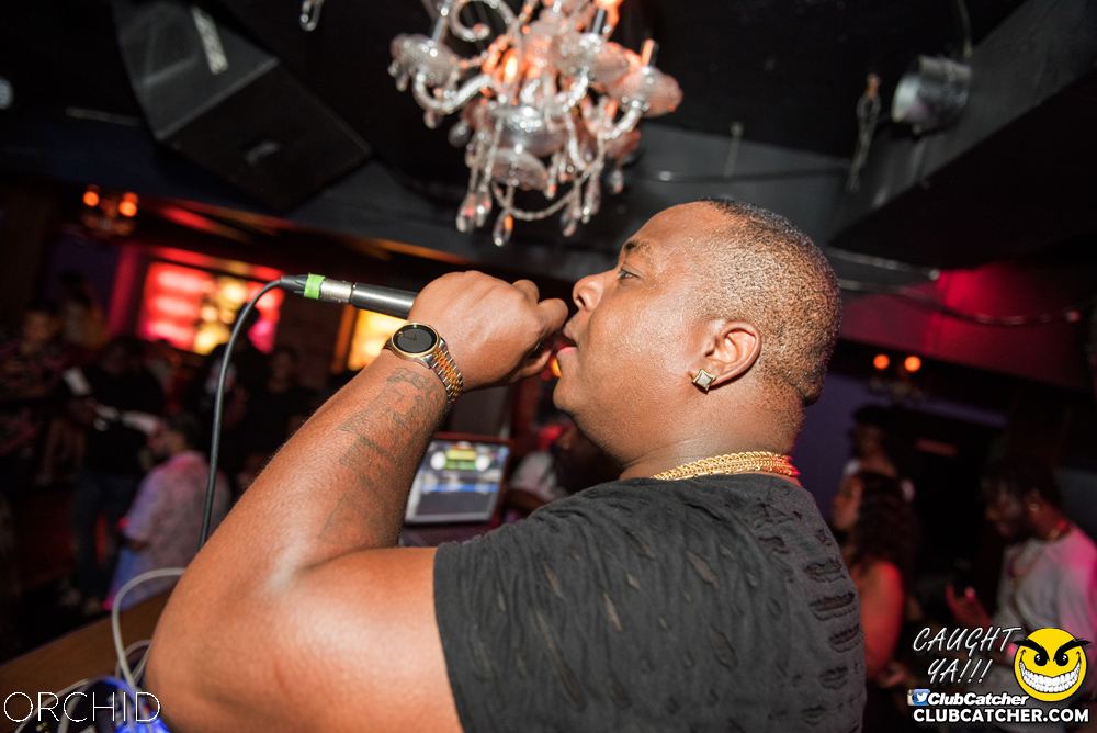 Orchid nightclub photo 79 - July 6th, 2019