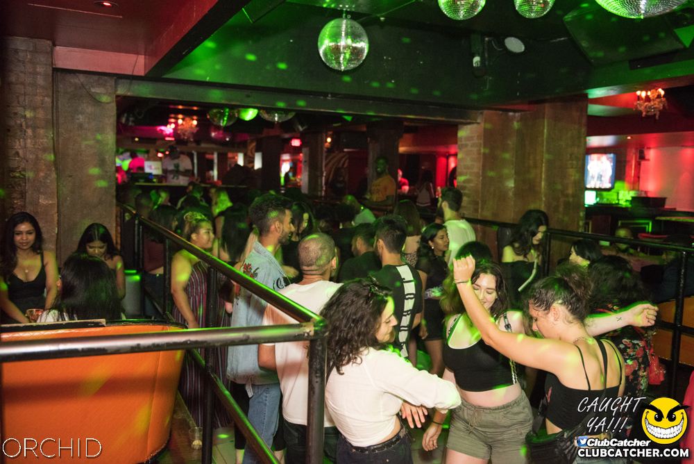 Orchid nightclub photo 80 - July 6th, 2019