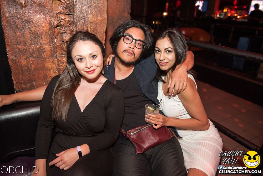 Orchid nightclub photo 81 - July 6th, 2019