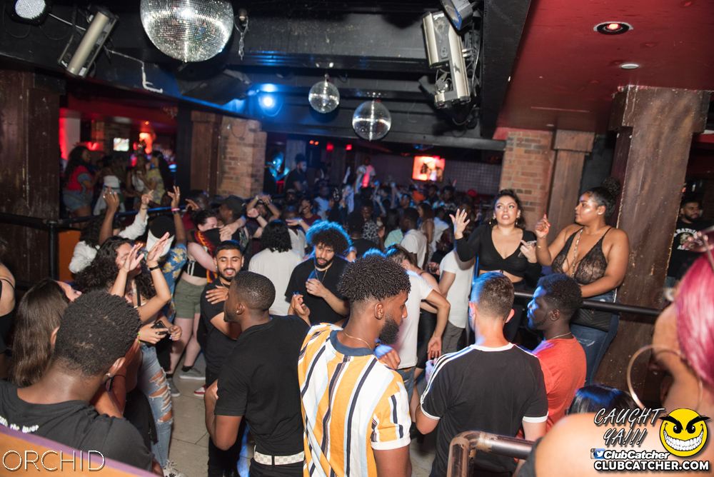 Orchid nightclub photo 87 - July 6th, 2019