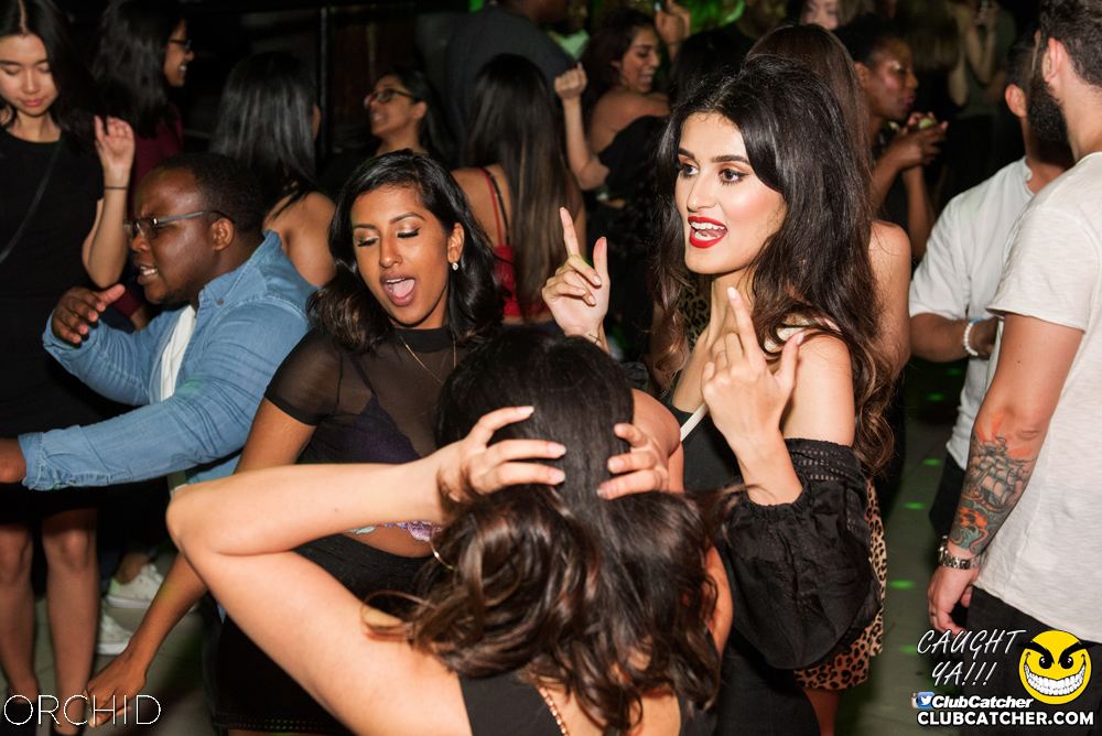 Orchid nightclub photo 89 - July 6th, 2019