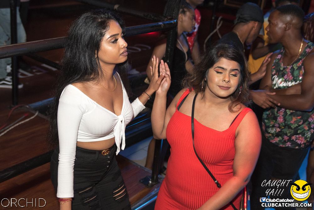 Orchid nightclub photo 93 - July 6th, 2019