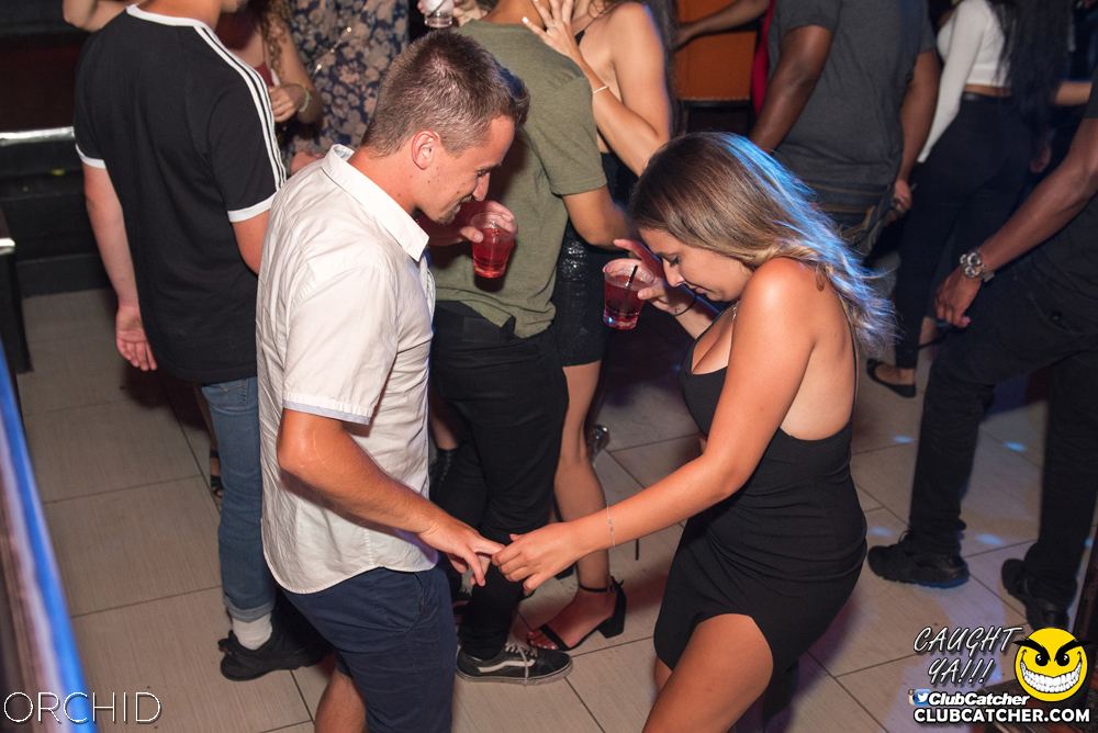 Orchid nightclub photo 94 - July 6th, 2019