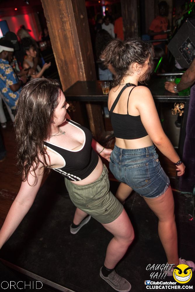 Orchid nightclub photo 95 - July 6th, 2019