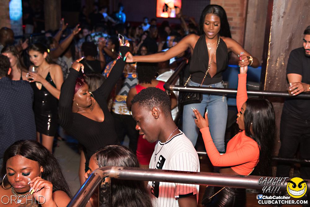 Orchid nightclub photo 96 - July 6th, 2019