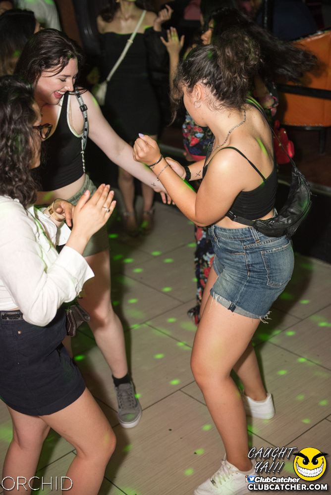 Orchid nightclub photo 98 - July 6th, 2019