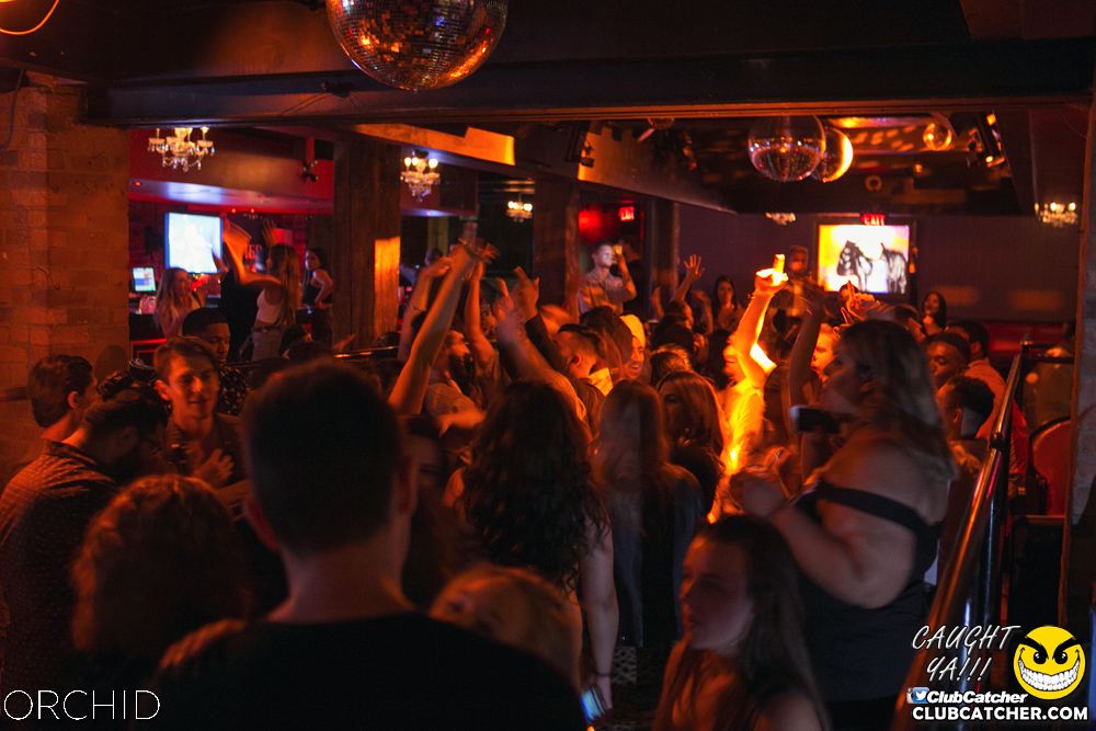 Orchid nightclub photo 12 - July 13th, 2019