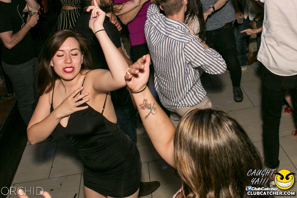 Orchid nightclub photo 14 - July 13th, 2019