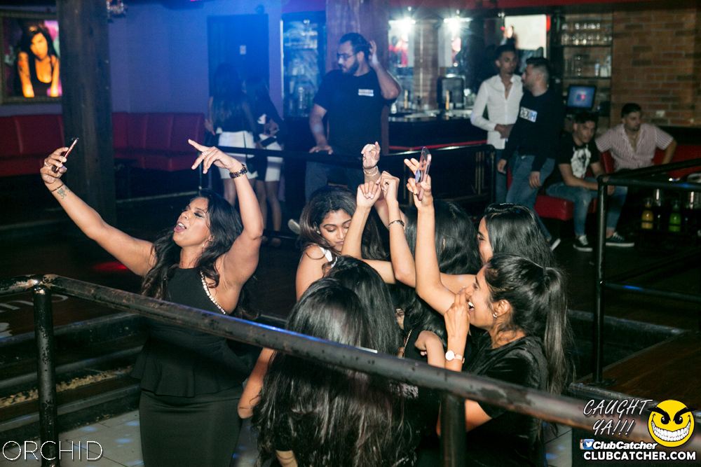 Orchid nightclub photo 15 - July 13th, 2019