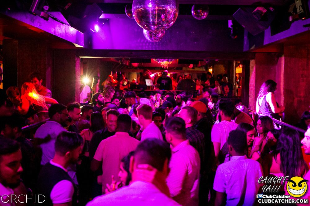 Orchid nightclub photo 21 - July 13th, 2019