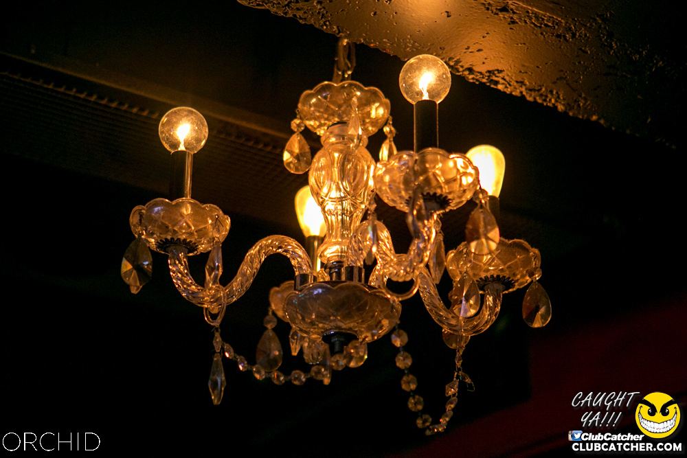 Orchid nightclub photo 26 - July 13th, 2019