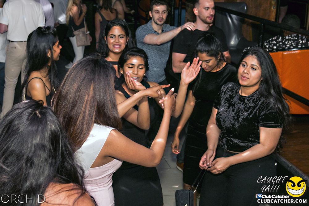 Orchid nightclub photo 28 - July 13th, 2019